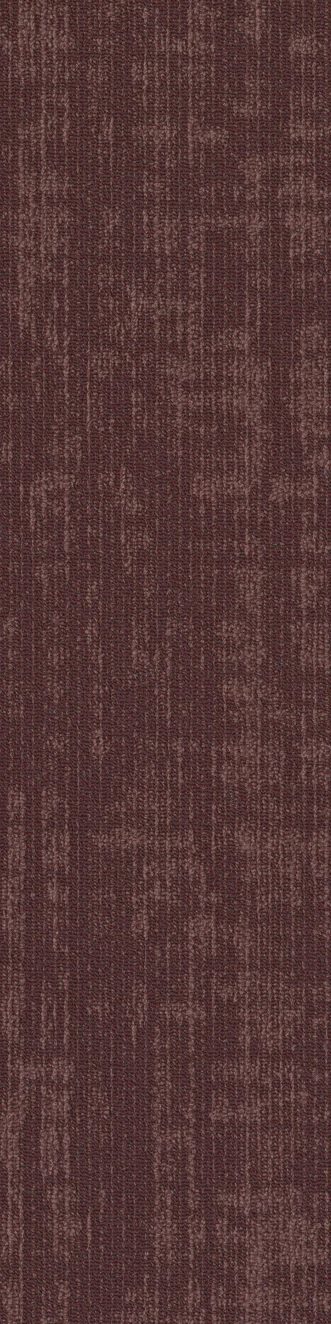 Carpets - Assembly Establish tw sd 25x100 cm - SHA-ESTABLISHTW - Dynamic  67850