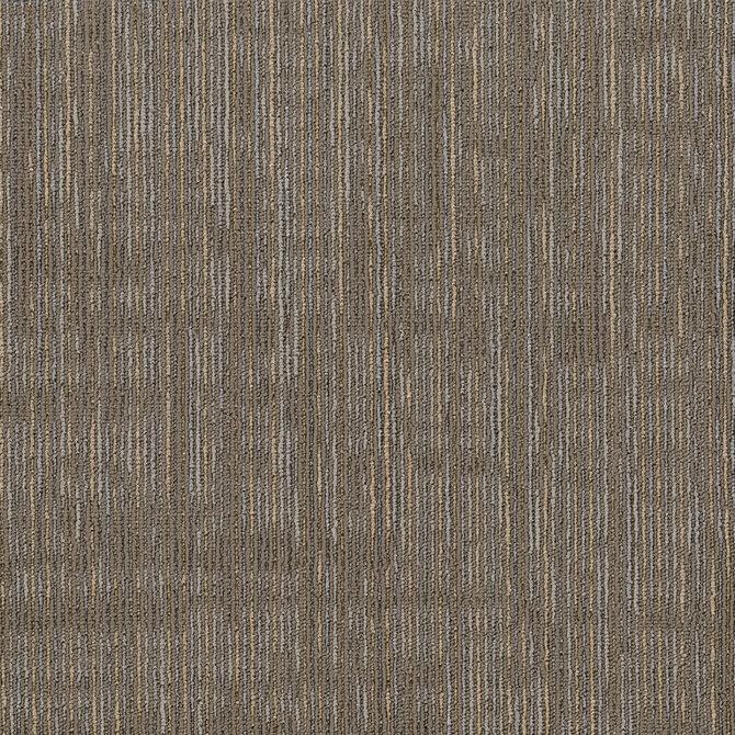 Carpets - District Intent tw sd 50x50 cm - SHA-INTENTTW - Sierra  08761