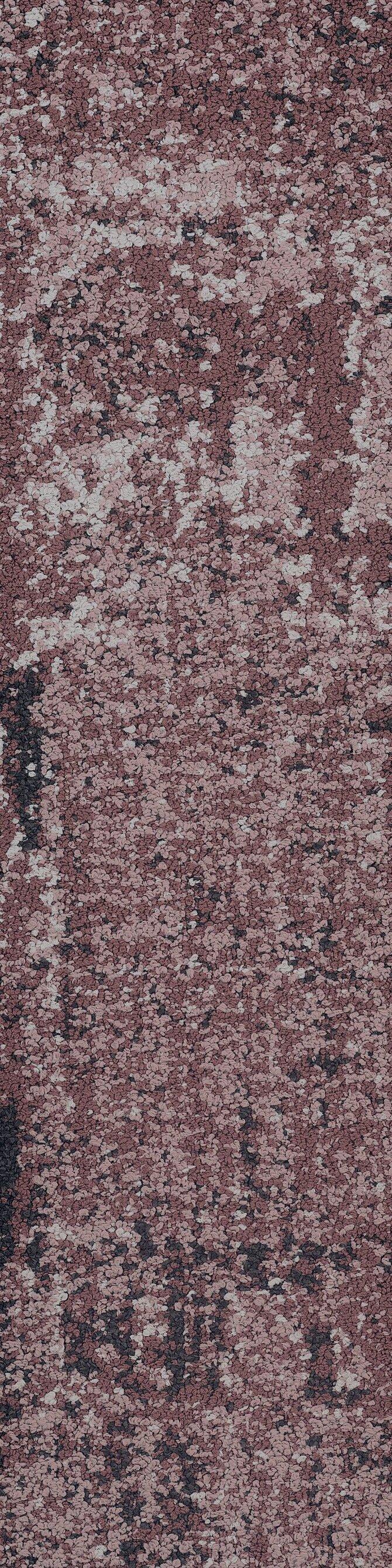 Carpets - Haven Familiar tw sd 25x100 cm - SHA-HAVENFTW - Rosewood 35870