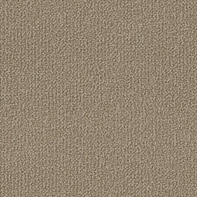 Carpets - Bowlloop 900 Econyl sd cab 400 - OBJC-BOWLLOOP - 0965 Latte