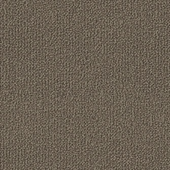Carpets - Bowlloop 900 Econyl sd cab 400 - OBJC-BOWLLOOP - 0966 Macchiato