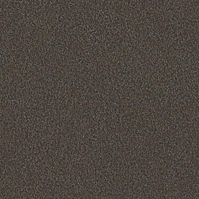 Carpets - Scor 550 AP 200 - OBJC-SCOR - 0569 Dark Brown