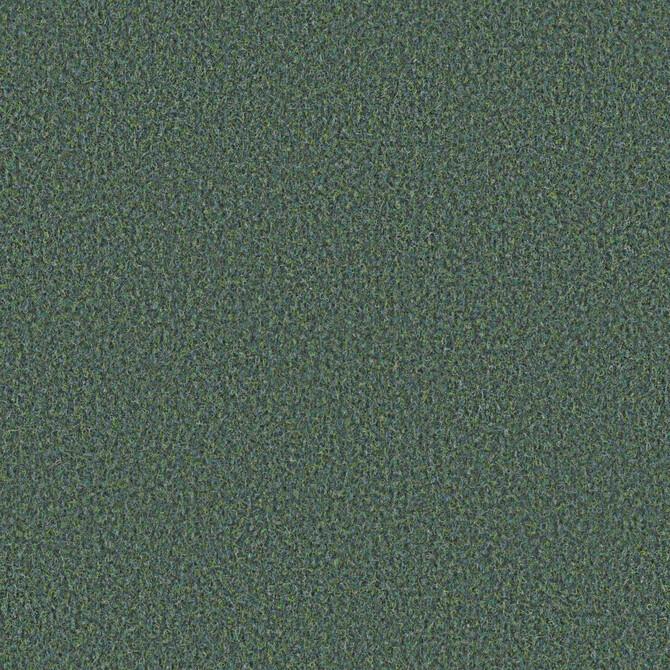 Carpets - Scor 550 AP 200 - OBJC-SCOR - 0553 Wiese