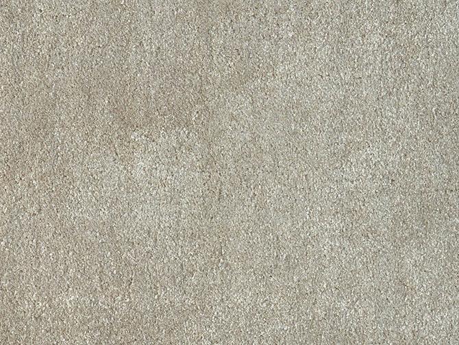 Carpets - Gloss 100% pes ct 500 - ITC-GLOSS - 19998 Mouse