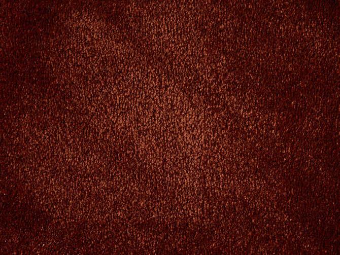 Carpets - Chamonix 100% Nylon lxb 400   - ITC-CHAMONIX - 190248 Amber