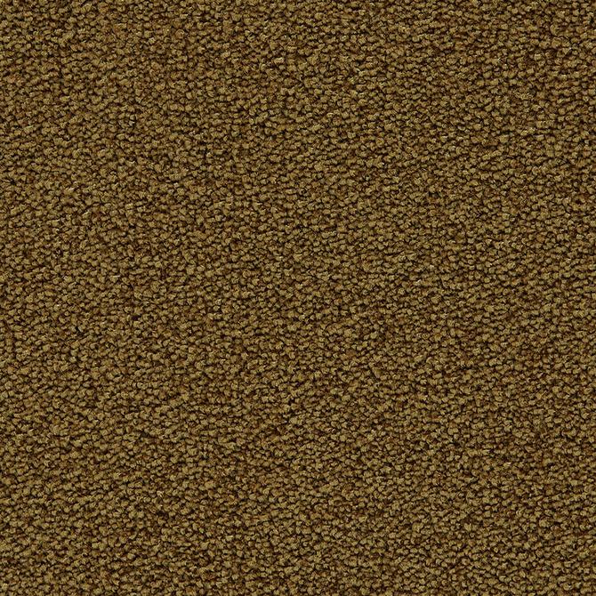 Carpets - Aeon ab 400 - CON-AEON - 153 Lion