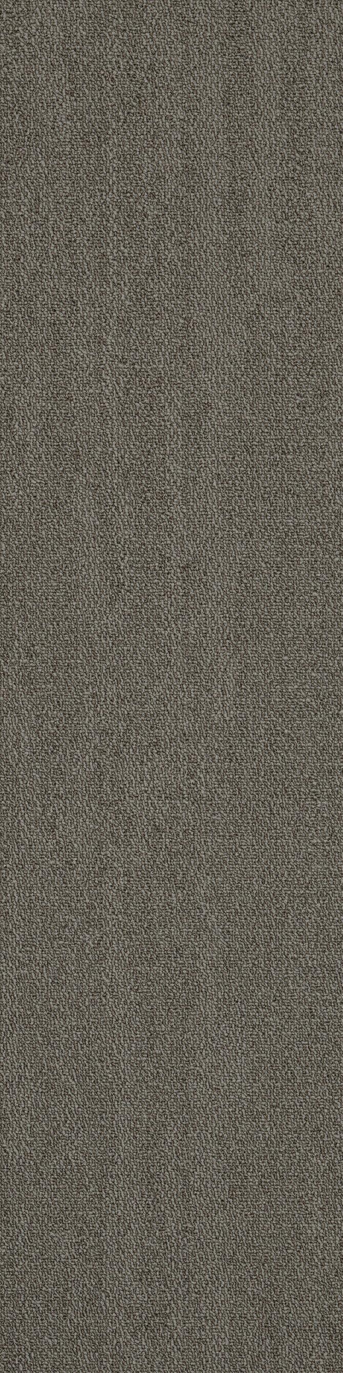 Carpets - Rapid Select Roam tw sd 25x100 cm - SHA-ROAMTW - 26760 Stonegate