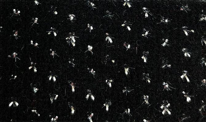 Eventový textil - Bora - 41662 - 1752