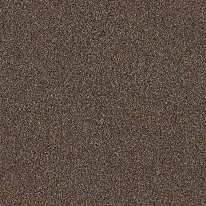 Carpets - Scor 550 bt Acoustic Plus 50x50 cm - OBJC-SCOR50 - 558 Mokka