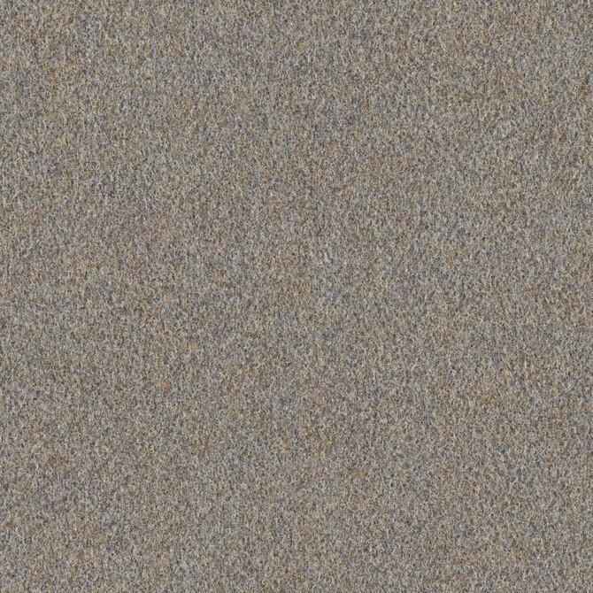 Carpets - Scor 550 bt Acoustic Plus 50x50 cm - OBJC-SCOR50 - 556 Sand