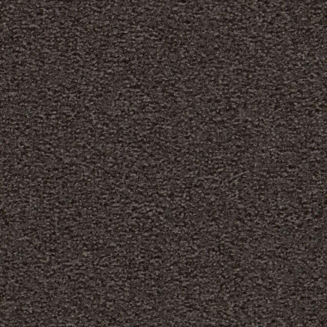 Carpets - Nyltecc 700 Econyl sd Acoustic 50x50 cm - OBJC-NYLTECC50 - 763 Mokka
