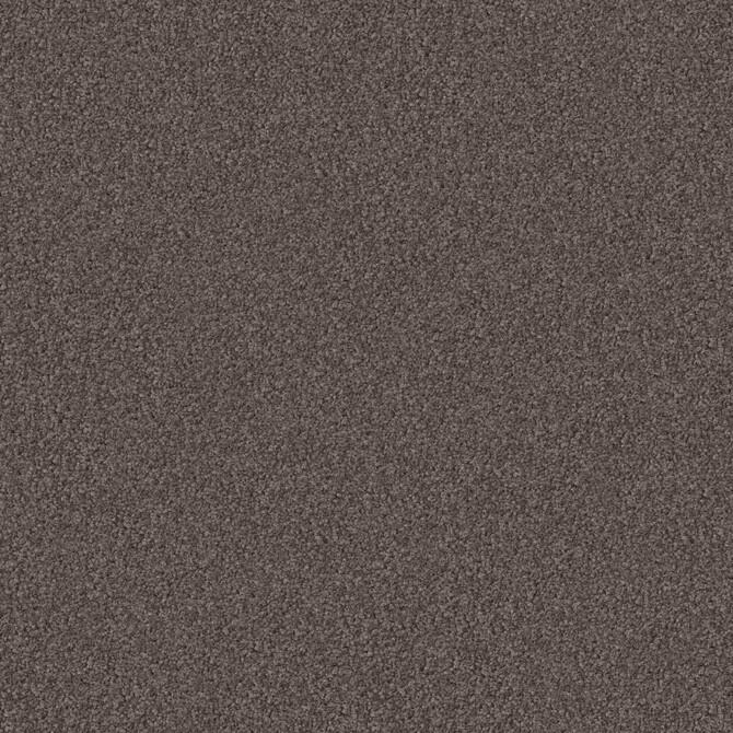 Carpets - Madra 1100 Acoustic 50x50 cm - OBJC-MADRA50 - 1128 Greige