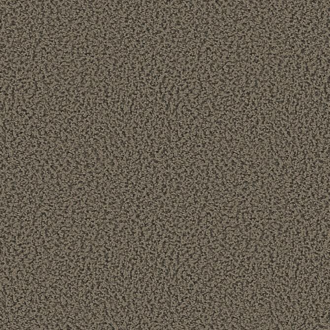 Carpets - Smoozy 1600 Acoustic 50x50 cm - OBJC-SMOOZY50 - 1601 Greige