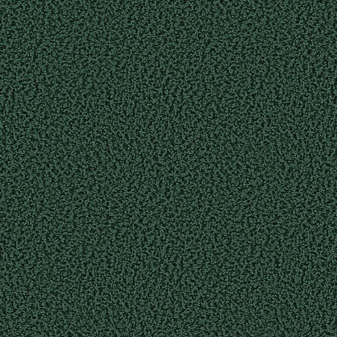 Carpets - Smoozy 1600 Acoustic 50x50 cm - OBJC-SMOOZY50 - 1611 Jungle