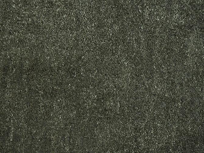 Carpets - Gloss 100% pes ct 500 - ITC-GLOSS - 19046 Beetle