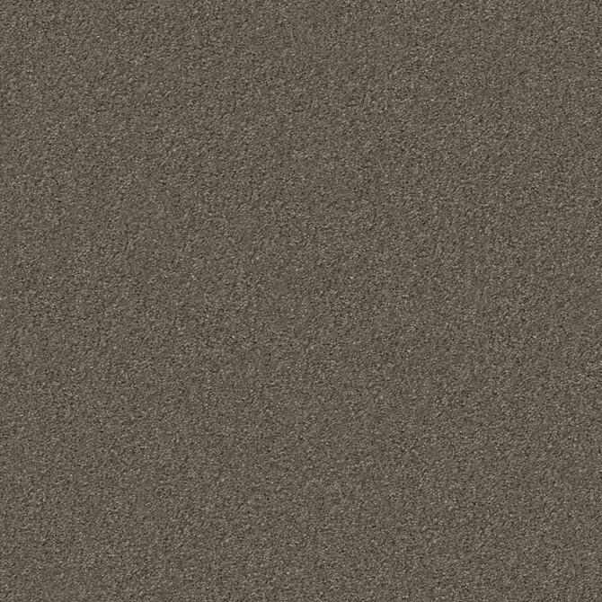 Carpets - Silky Seal 1200 Acoustic 50x50 cm - OBJC-SILKYSL50 - 1215 Greige