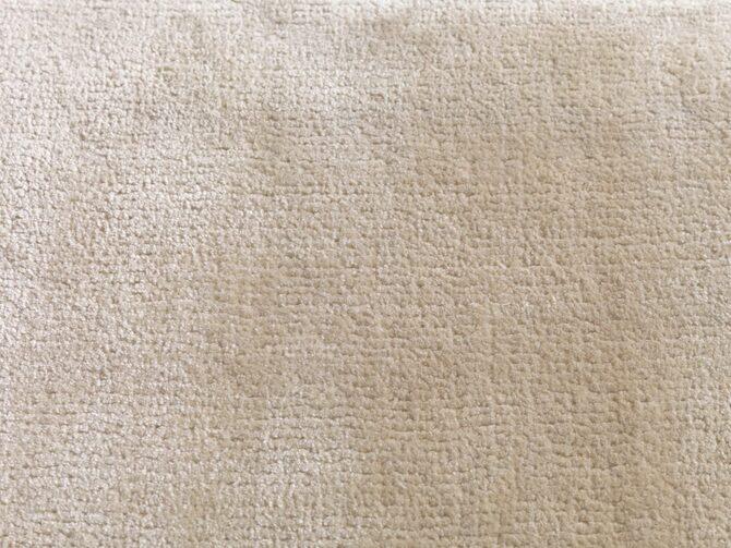 Carpets - Simla ct 400 500 - JAC-SIMLA - Ivory