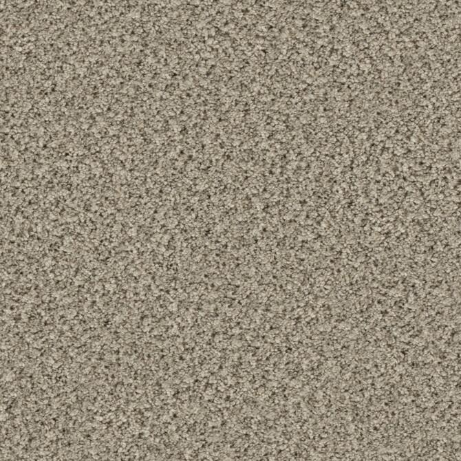 Carpets - Eddy 2100 cab 400 - TOBJC-EDDY - 2153 Quartz