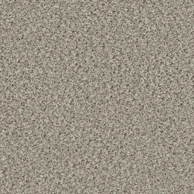Carpets - Eddy 2100 cab 400 - TOBJC-EDDY - 2154 Pebble