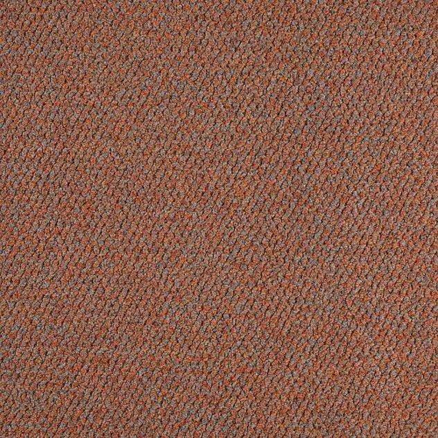 Carpets - Coin tb 400 - IFG-COIN - 700