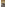 Koberce - Frame sd b2b 50x50 cm - MOD-FRAME - 140
