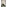 Koberce - Perpetual sd b2b 50x50 cm - MOD-PERPETUAL - 136
