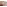 Koberce - Atlantic Monetti ltx 230x330 cm - LDP-ATLNMON230 - 9121 Giverny Beige