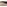 Koberce - Antiquarian Heriz ltx 230x330 cm - LDP-ANTIQHER230 - 8708 Golden Horn Beige